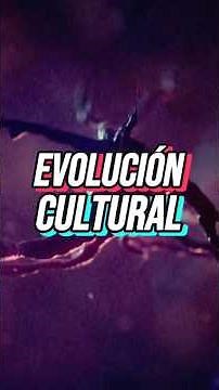Human evolution