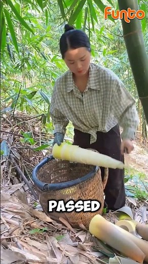 How Bamboo Shoots Are Harvested and Prepared as Food