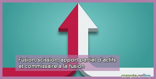 Commissaire � la fusion : conditions de nomination et missions