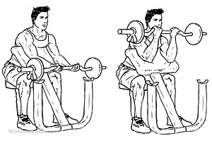 Preacher Curl
