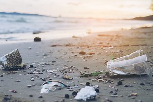 Canada's Plastic Pollution Problem - Environmental Defence