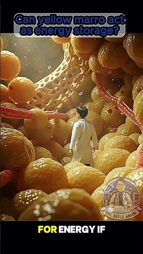 🦴 The Golden Reserve: Why Your Bones Turn Into Energy Storage Units (Yellow Marrow Secrets)