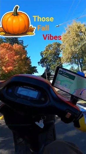Wild Moped Wheelies in the Pacific Northwest This Fall!