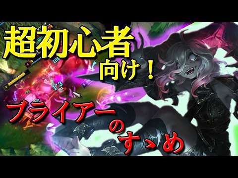 【ぶらいあー研究所】超初心者さん向け！ブライアーってなぁに？