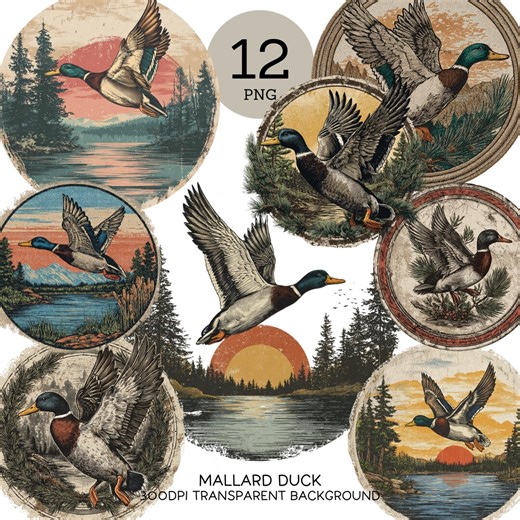 Mallard Duck Png Bundle, Retro Flying Mallard Duck Stickers, Fall Duck Hunter Vintage Animal Cliparts, Trendy Hunting Sublimation Designs - Etsy