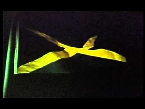 Jamaica Gains Independence - Rare footage