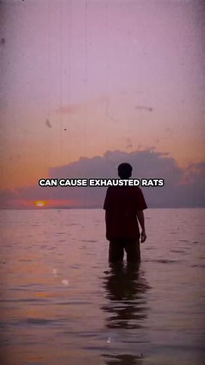 85K views · 2K reactions |  Unbelievable Human Triumph: Harvard's 1957 Study Reveals Mind-Blowing Endurance!  Watch the video to discover the surprising results and unlock the secrets of human potential. 易 Remember, you're capable of more than you think! ‍♂️ #Motivation #Mindset #NeverQuit #freedomalchemist | Freedom Alchemist | Facebook