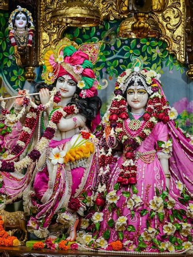 today's Radha Govinda Darshan। আজকের রাঁধা গোবিন্দের অপরূপ দর্শন #iskcon