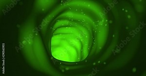 Travelling through water-filled xylem inside a plant. Clip loops seamlessly