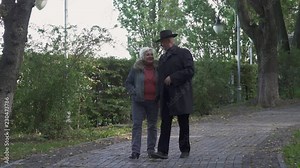 Senior happy man and woman walk in the park