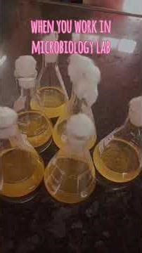 when you work in microbiology lab 🧫🧪💕. #microbiology #microbiome