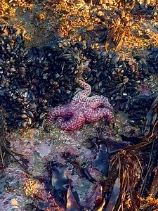 64 reactions | Cayucos, CA on Reels | Facebook