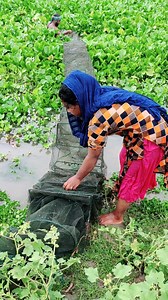 5.3K views · 61 reactions | Really Amazing Fishing Video With China Ring Net In Village River Fish Catching | Rural Fishing Life | Facebook