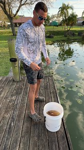 2.1M views · 21K reactions | FEEDING THE MASSIVE POND MONSTER | RAWWFishing | Facebook