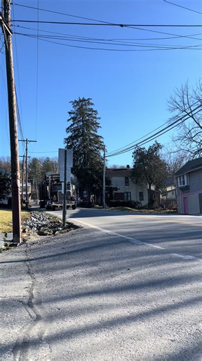 International Trucks: The Power of Log Trucks