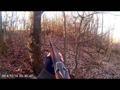 Лов на дива свиня (Wild boar hunting Bulgaria)