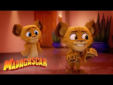 Doppelgänger! | Madagascar: A Little Wild | Mini Moments