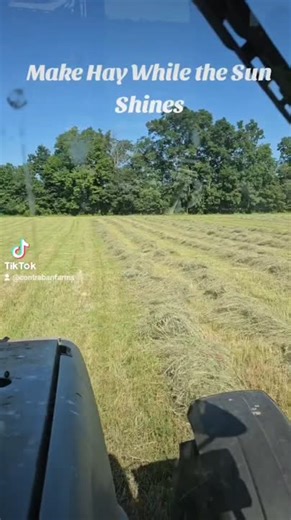 Summer time is hay time on a farm.  Essential to get cattle, horses and other livestock through Northern Ohio winters with quality forage.  On this small 8 acre  field we put up 760 bales or… | Michael Burgett