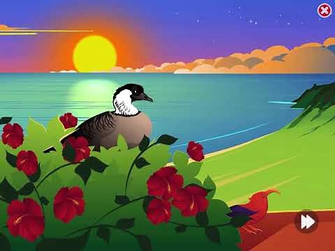 Level 17 in Lexia Core5