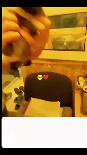 Bikin Haru Netizen!! Kucing ini tidak mau kehilangan satu sama lain dan enggan dipisah saat berpelukan. 🥺🫶 #catlover #catlovers #fyppp #virall #cat