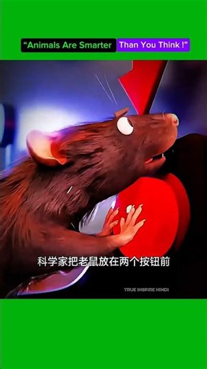 “Animal Behavior Experiments That Will Blow Your Mind 🤯🐒 #LearnSomethingNew”