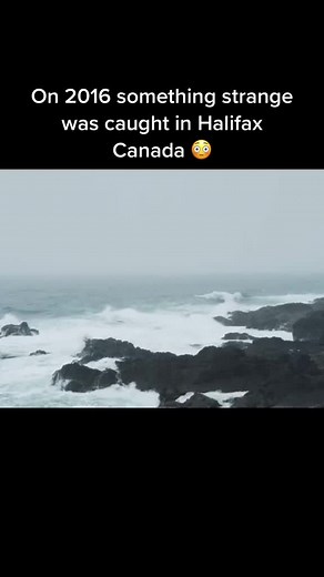 #unknownfacts #ocean #kraken