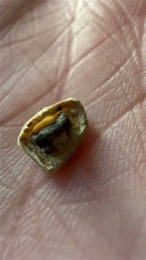 The crazy parts you don’t See of jewellery sorting.. a REAL tooth!! 🦷 #crazy #mindblown #jewellery