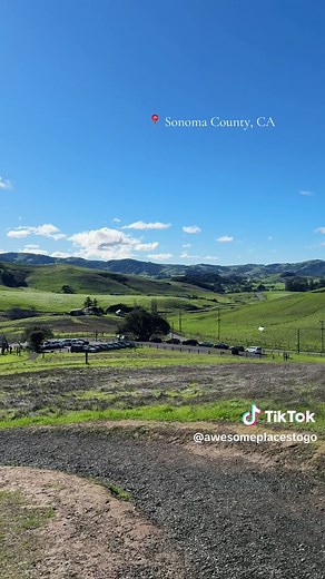 Explore Sonoma County: A Travel Guide to Northern California