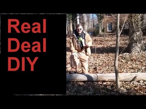Pull A Dead Tree Down With A Rope