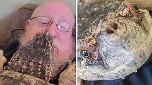 Steve and his best friend Tank love spending time together. Tank is a 40-pound Common Snapping turtle that has been part of Steve's family for 13 years. Steve trusts Tank and has never been bitten by his good friend! | Rumble