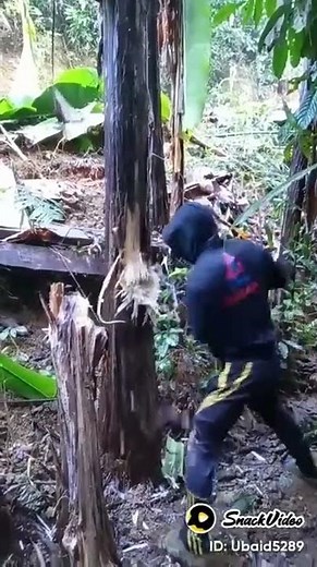 Outstanding Powerful Punching Skills by a Man Breaking the Wooden Tree - Amazing Punching Power