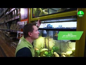 Title: Making our pets at home -- Reptile