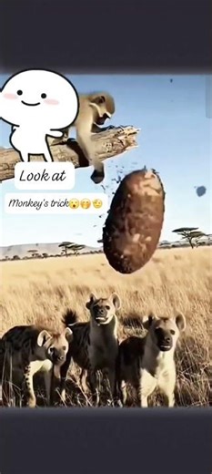 The monkey's sharp mind is enough to make the leopard mad # mind game # funnyvideo#viral seen