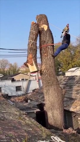 Creative Work and Smart Skill Showcasing for Fun