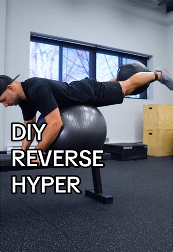 Swiss Ball Reverse Hyper: Home Gym Modification Guide