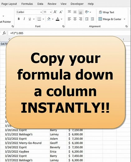 quickly copy your formula down a column. (doing my best impression of @justin_danger_nunley) #excel #spreadsheets #tutorial #techtips