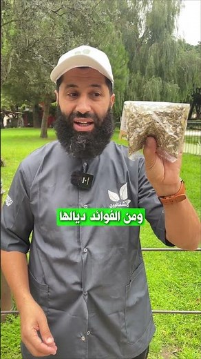 حليب الشوك (شوك الجمل )…أقوى عشبة لتنقية الكبد! فوائد، استعمال، ونصائح مهمة جداً #اكسبلور #تغذية