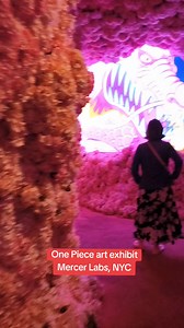 One Piece art exhibit. Mercer Labs, NYC. #fblifestyle | One Piece - One Million Fans