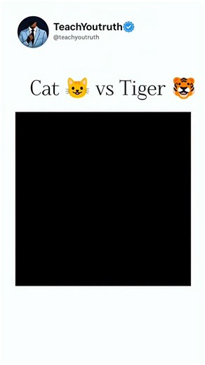 teachyoutruth | The post showcases a 12-second video of a ginger tabby cat grooming her tiny, identical kitten, captioned to celebrate their mirror-image... | Instagram