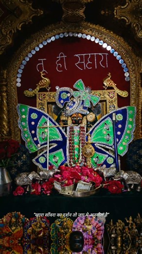 म्हारो साँवरो ❤🙏🚩अनमोल दर्शन। #sanvariyaseth#sanwariyasethji#shyam#mandpiya#bhaktishorts#hindubhakti