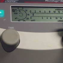 Video: Transcriptome Profiling of In-Vivo Produced Bovine Pre-implantation Embryos Using Two-color Microarray Platform