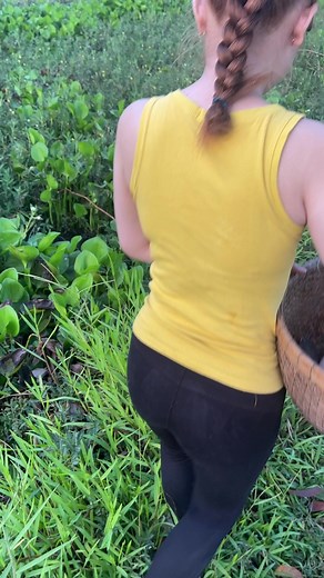 34K views · 355 reactions | Trapping giant arapaima with survival fishing | Survival with Emma | Facebook