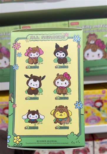 Hello Kitty and Friends Chill Capybara Blind Box Review