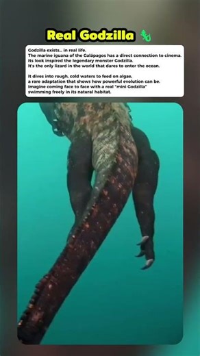 godzilla in real life #curiosity #mistery