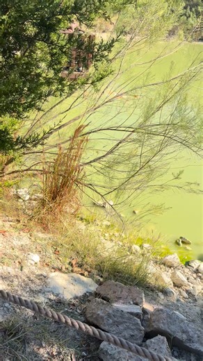 Emily Wilson on Reels