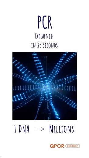 How PCR Works I Molecular Biology Basics