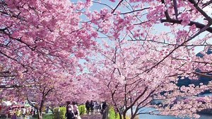 We are so excited for spring! Check out our video of vibrant colors. Music available here: https://apple.co/2VmPioo | I Love Nature