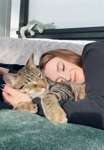 Meet Dexter, the Adorable Cat Star of the Show