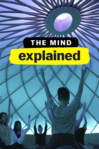 The Mind, Explained Summary, Trailer, Season List, Cast, Where to Watch and More