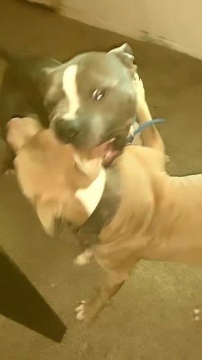 D-Smilez Smiley on Reels | Facebook